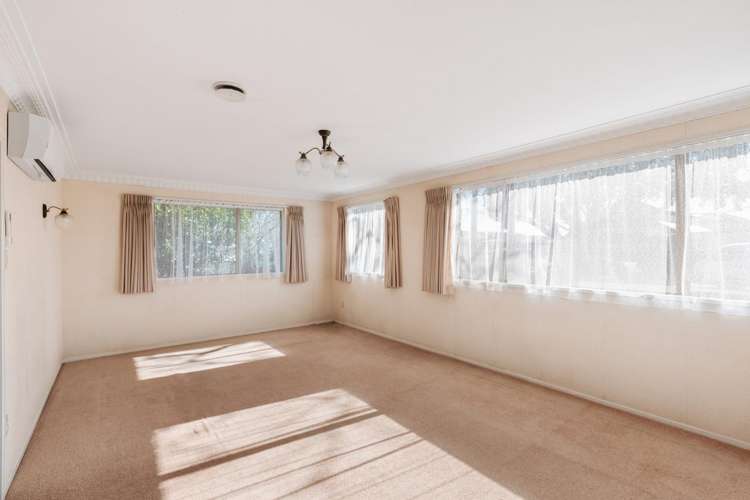 78b Sixth Avenue Tauranga Central_4