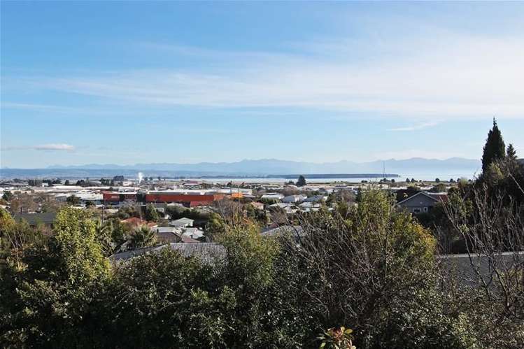 7 Greenhill Road Wakatu_12