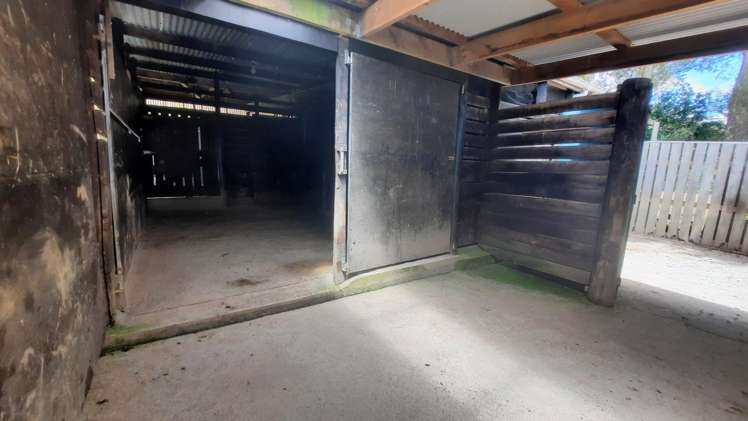 429 Scotts Road Linton_24