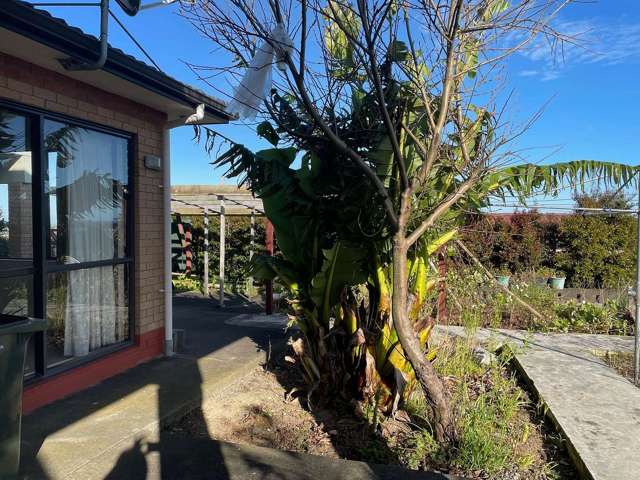 16 Mangerton Lane East Tamaki Heights_4