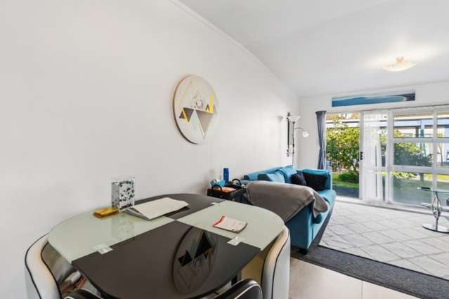 19/100 River Road Hamilton East_3