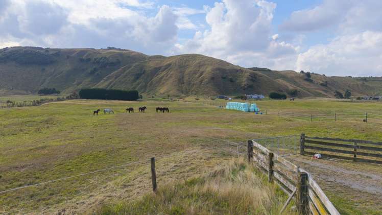 52 Grant Road Kinloch_10