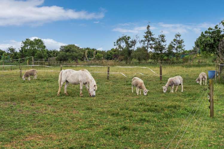 95B Thornton Beach Road Thornton_30