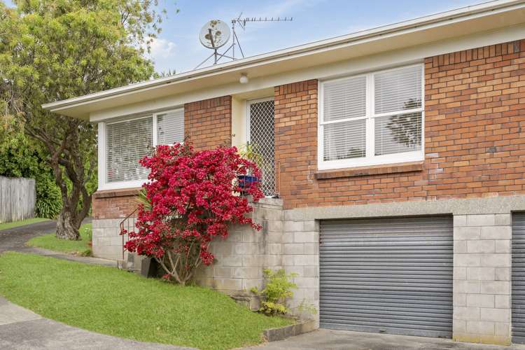 28a Sunnynook Road Sunnynook_1