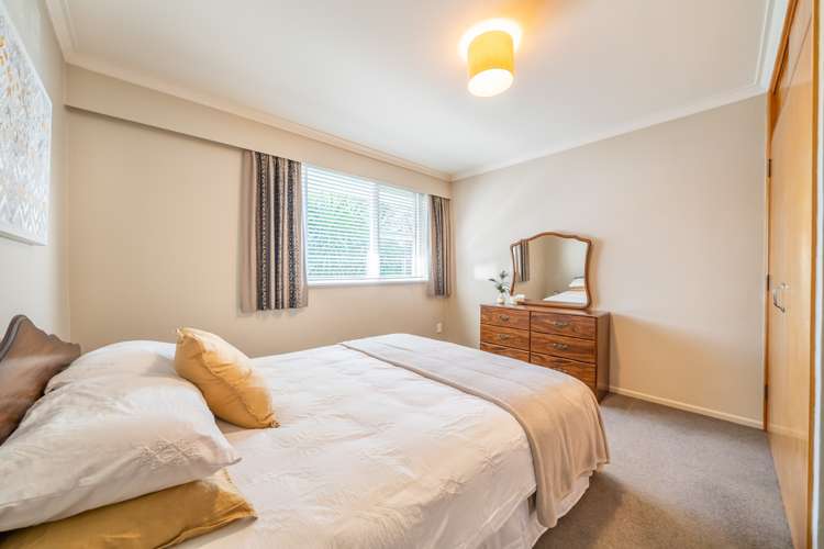 175 Taita Drive Avalon_13