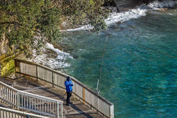 21 Fishermans Cove Army Bay_9