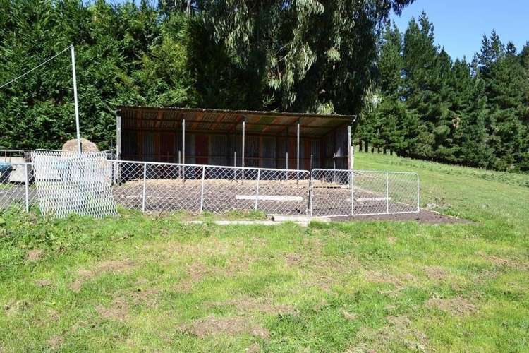 452 Falla Burn Road Balclutha_11