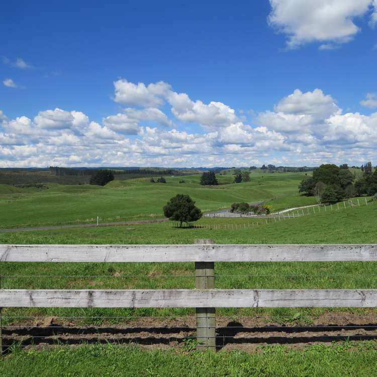 35 Pinedale Road Lichfield_6