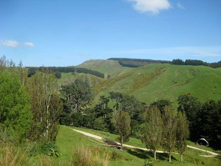 12271 Route 52 Pongaroa_17