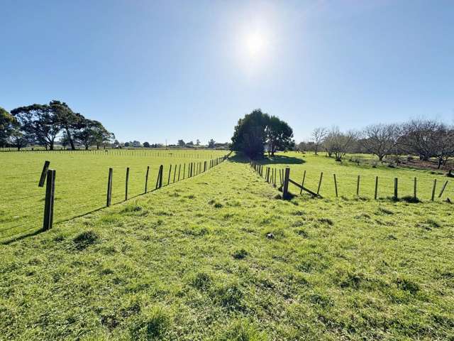 82 Jacksons Road Levin_1