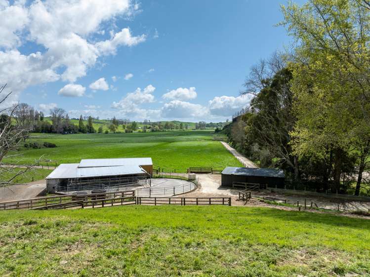 Lot 3/517 State Highway 1 Tirau_6