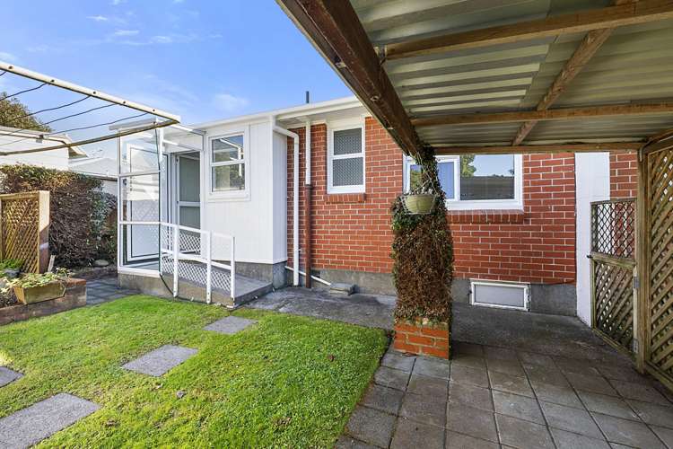 290d Carrington Street Vogeltown_12