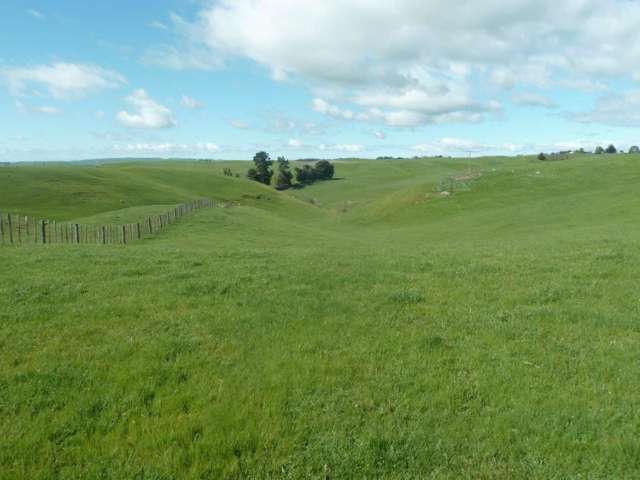 165 Whakapirau Road Maungaturoto_3