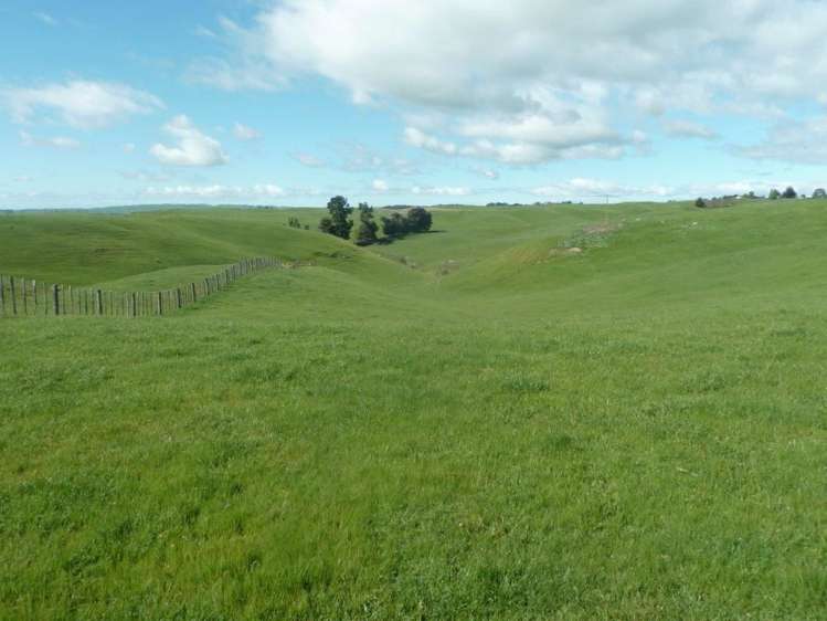 165 Whakapirau Road Maungaturoto_3