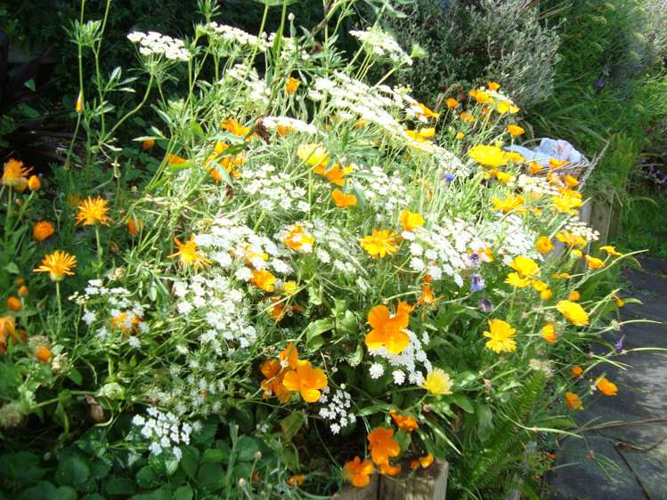 2/32 Hand Road Helensville_16