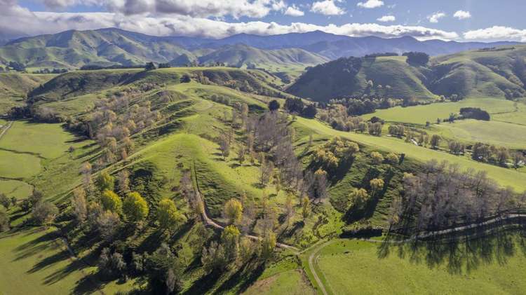 72 Te Hau Road Masterton_8