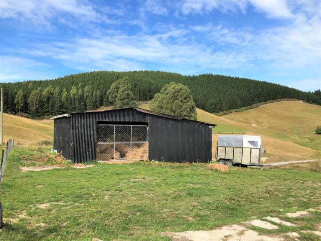 54 Nore Street Waihola_2