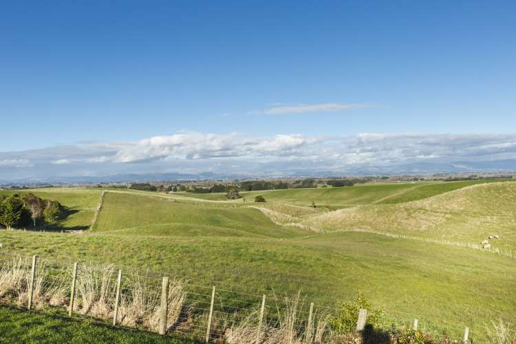 61 Sutherland Road Sanson_6