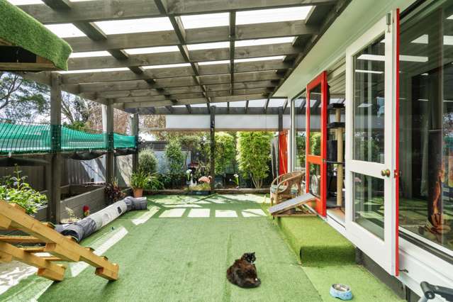 112 Fourth Avenue Tauranga Central_4