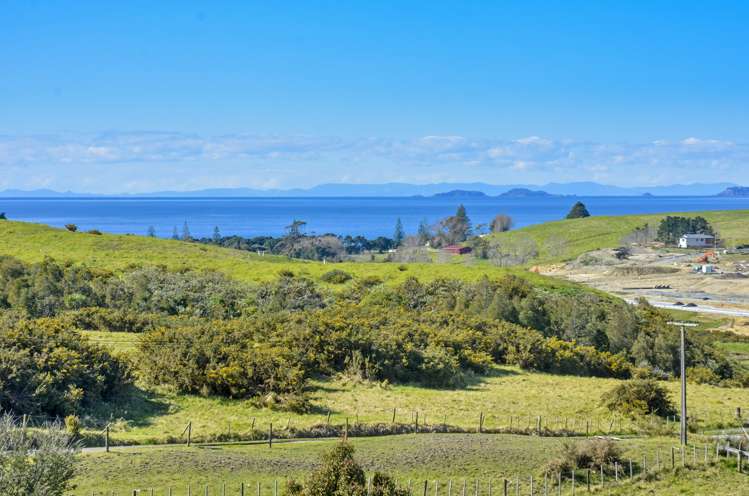 124 Vaughans Road Long Bay_0