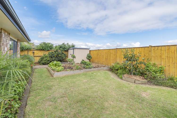 44 Belfry Place Wattle Downs_16