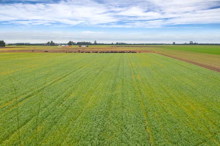 2915 West Coast Road Darfield_5