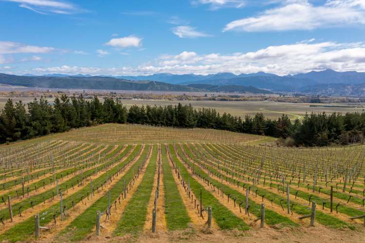 Delta Lake Heights Renwick_3