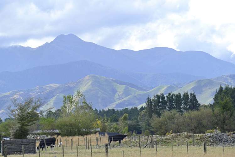 48 Jordan Road Carterton_19