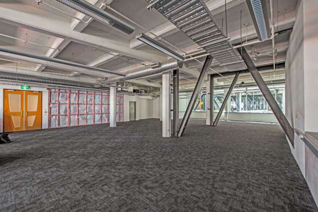 15 Allen Street Te Aro_3