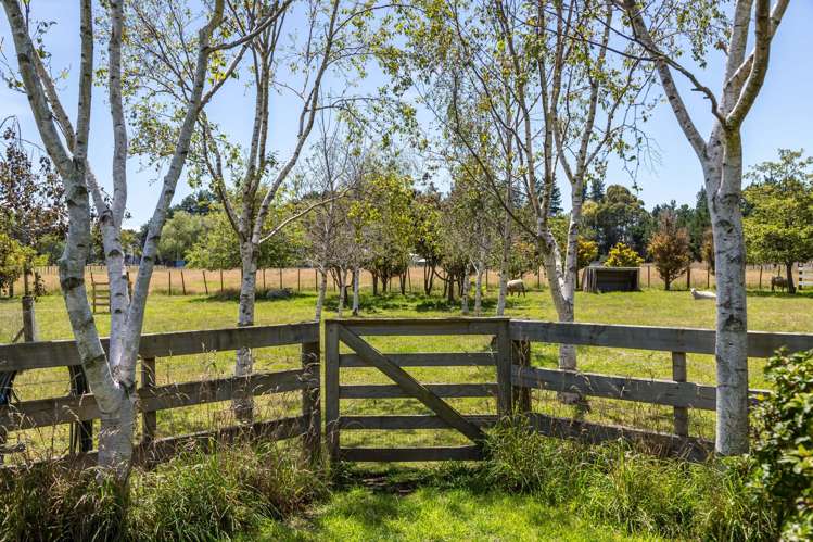 80 Battersea Road Greytown_34