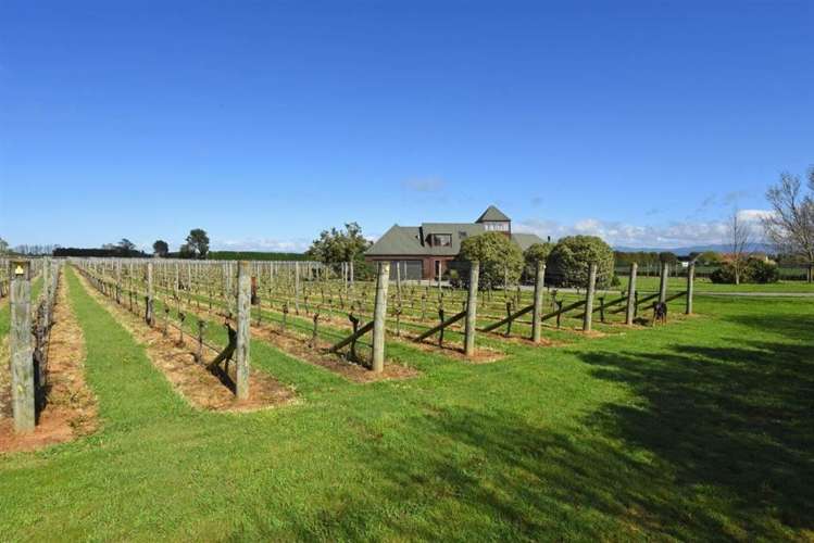26 Huangarua Road Martinborough_14