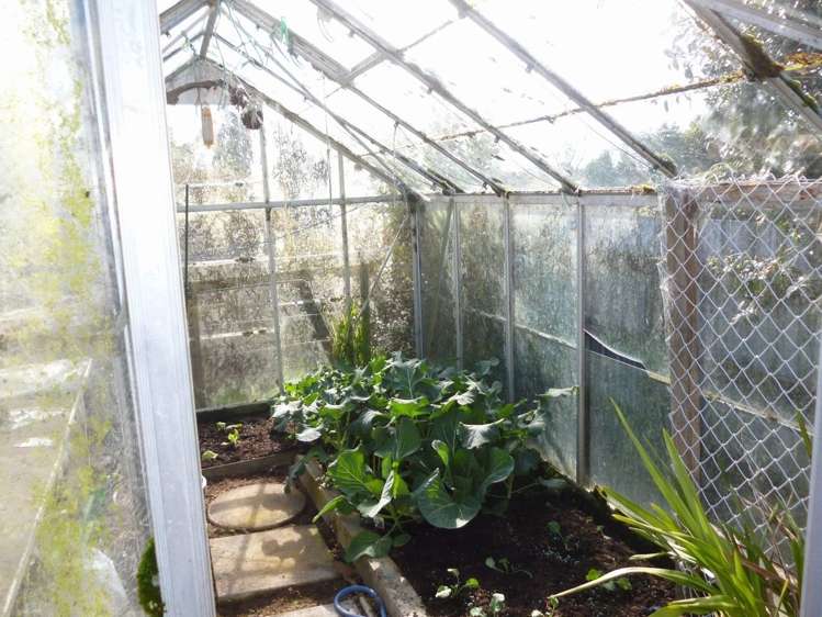 52 Victoria Road Stratford_15