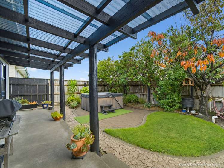 3 Lancaster Street Tamatea_18