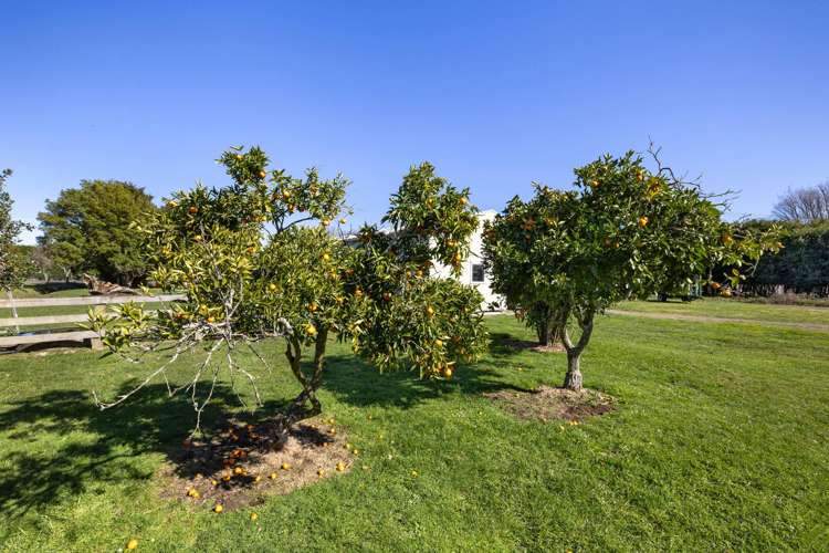 386 Marshmeadow Road Newstead_22