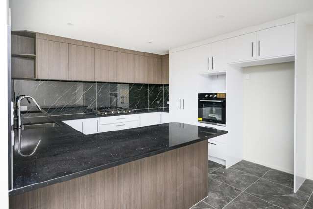 103A Featherston Street Takaro_1