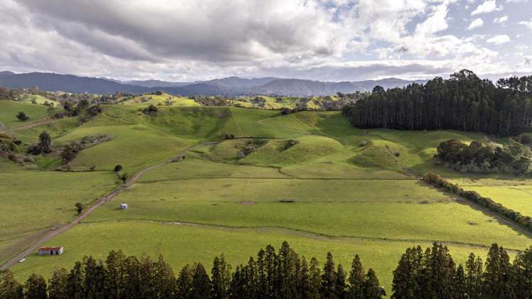 Queens Farm, 16 McGinley Road Opotiki_18