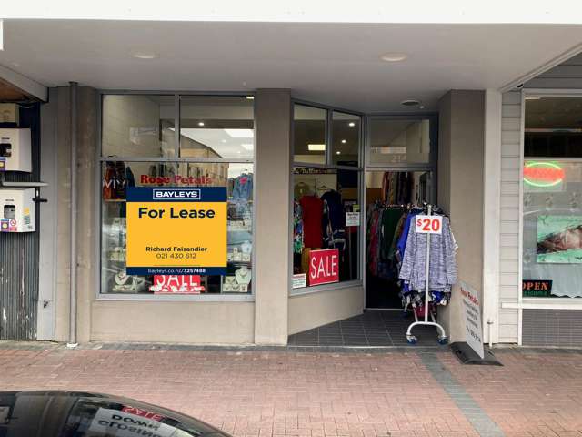 214 Jackson Street Petone_1