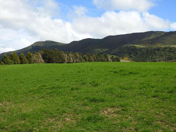 972 Slopedown Road Catlins Surrounds_20