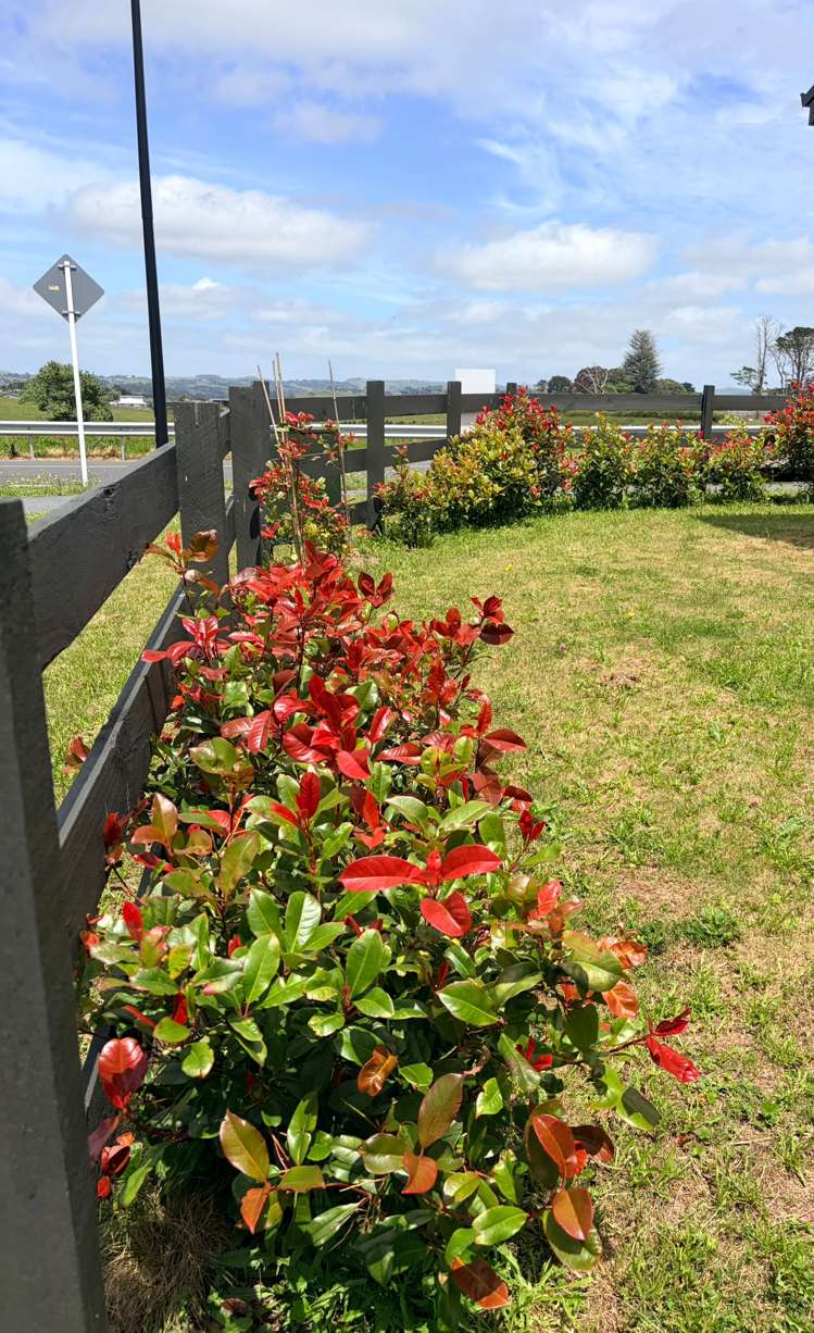 115 Mutetai Road Clarks Beach_31