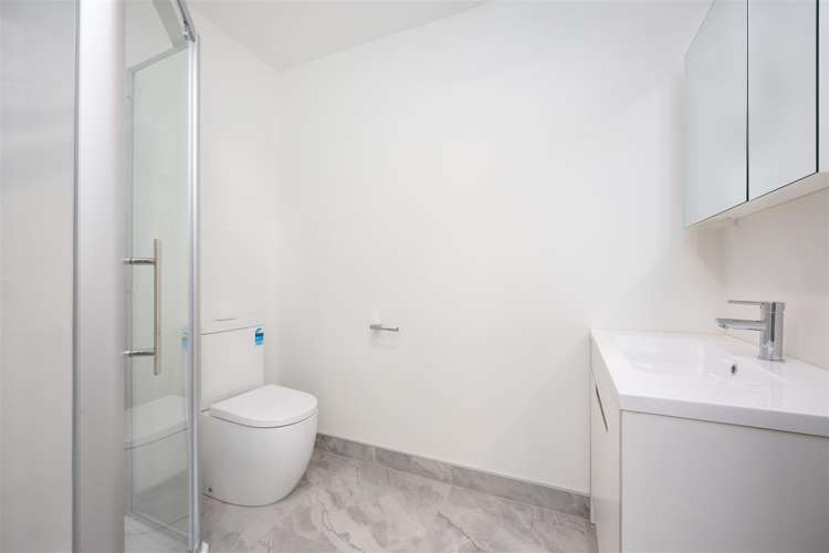 2/38 Cape Road Mangere_11