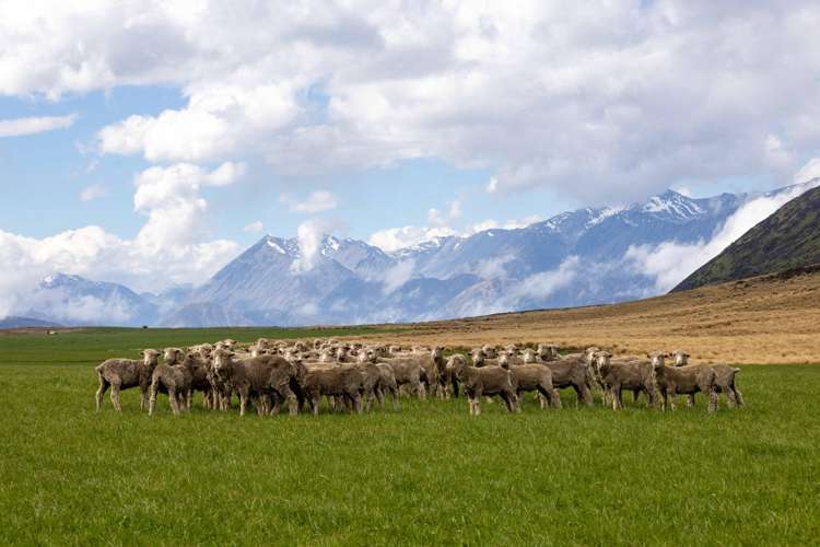 1551 Double Hill Run Road Rakaia Gorge_41