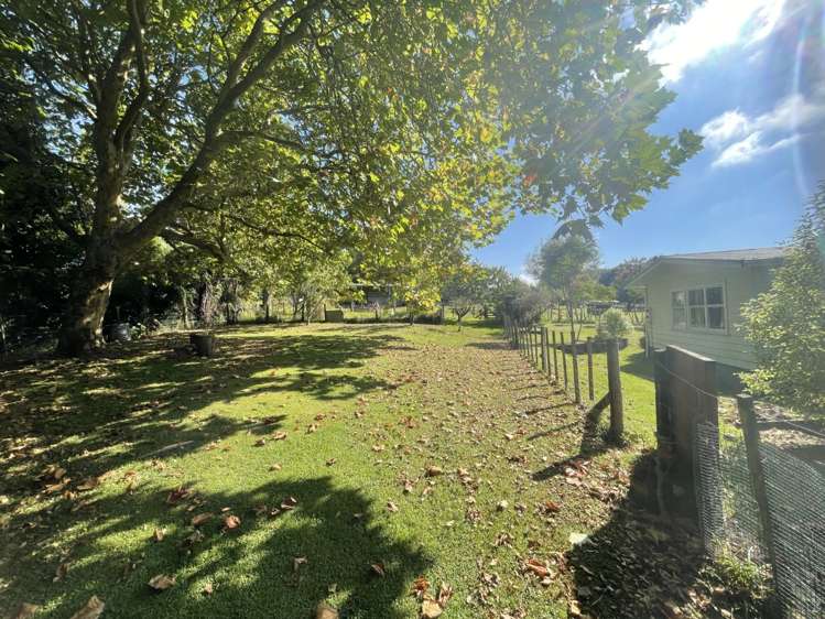 3715 State Highway 3 Awakino_14