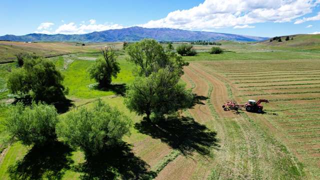 57 Golden Road Alexandra_3