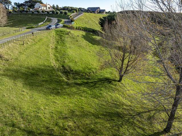 70 Pineleigh Drive Poraiti_1