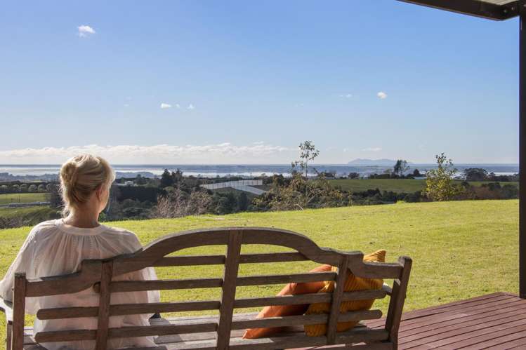 480C Youngson Road Whakamarama_11