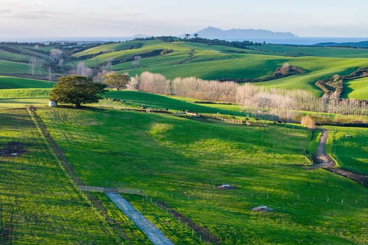 Ocean View Road and Busbridge Road Te Arai_8
