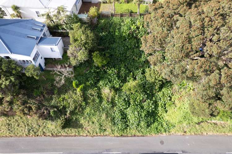 19 Mornington Road Brooklyn_5