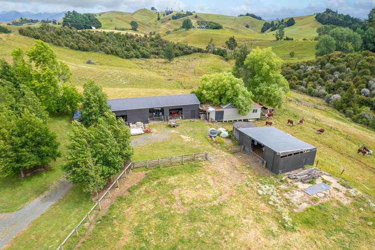 998 Limeworks Loop Road Karamu_33