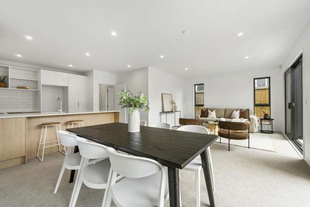 11 Karamu Street Flat Bush_1