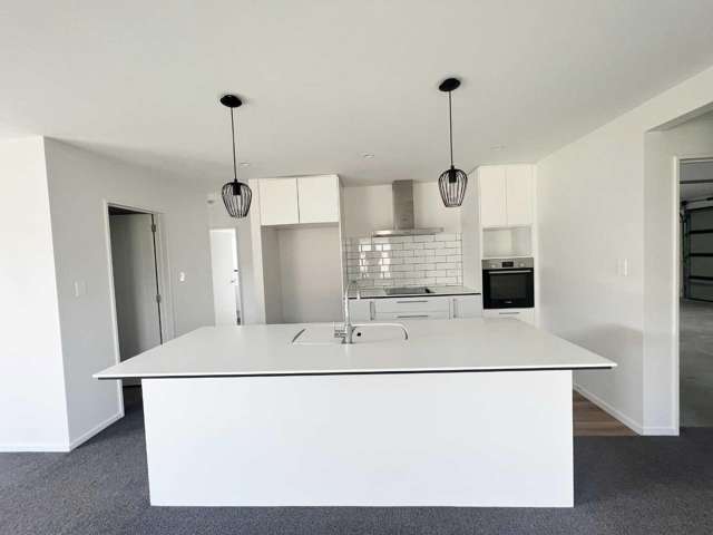 55 Bonecrusher Street Lincoln_1